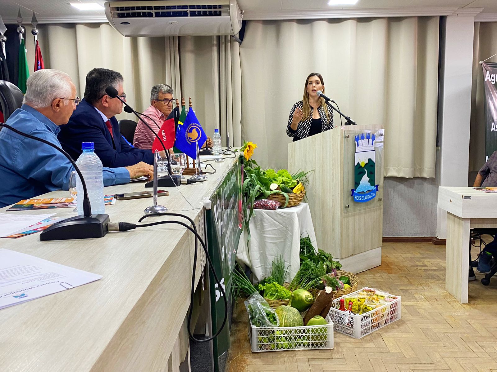 Mais uma luta: Prefeita Anna Lorena participa de audiência pública para debate do desenvolvimento sustentável no Cariri